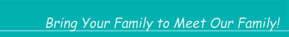Bring Your Family to Meet the TK's Family